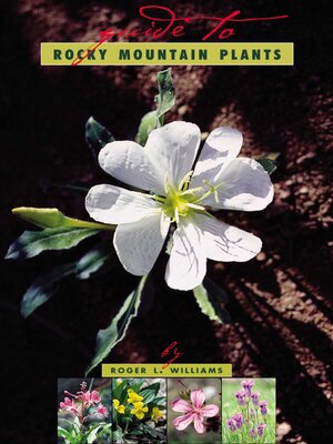 cover image of A Guide to Rocky Mountain Plants